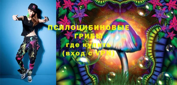 круглые Абаза