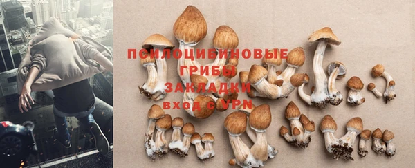 Альфа ПВП Абинск