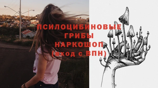 круглые Абаза